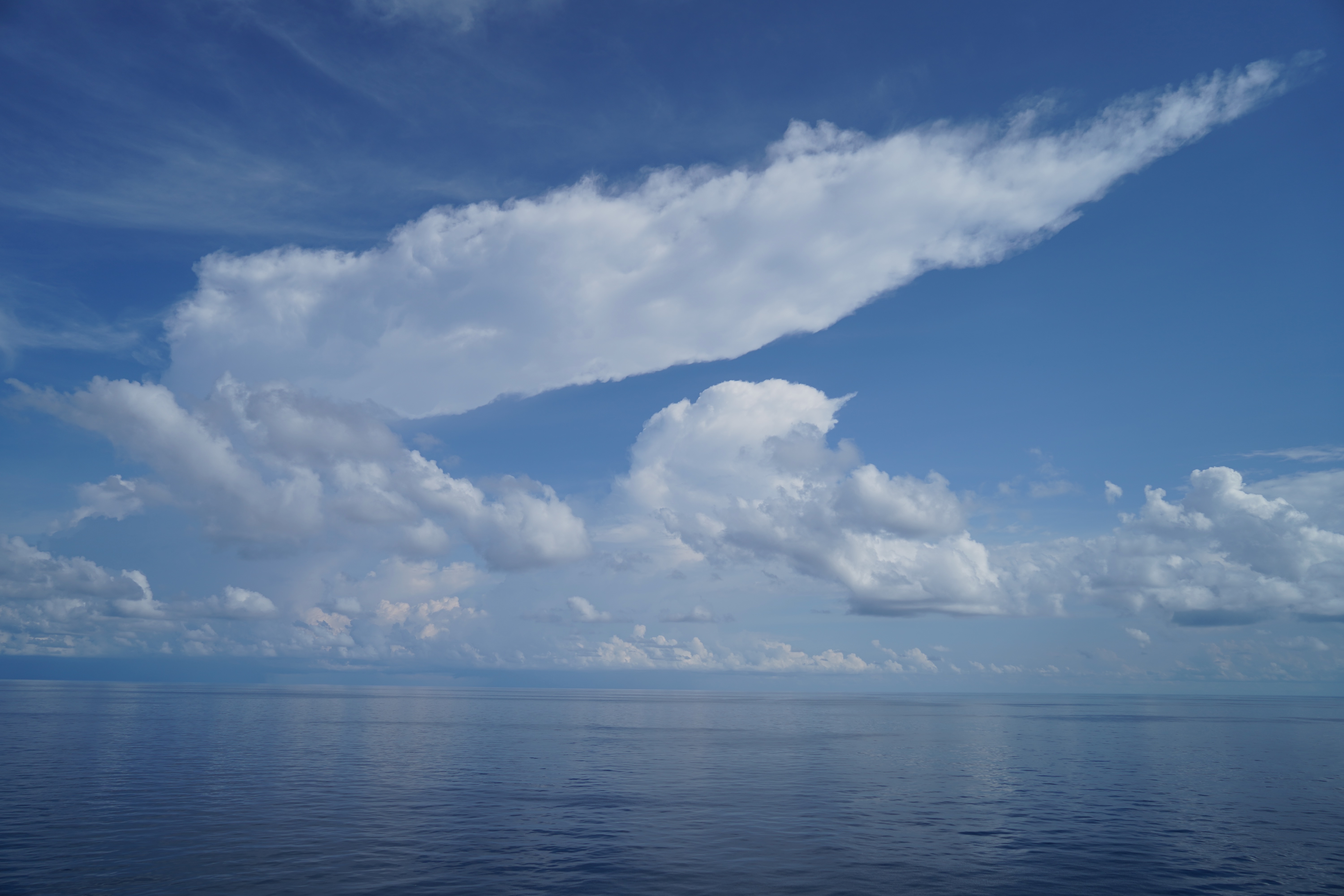 The Sea