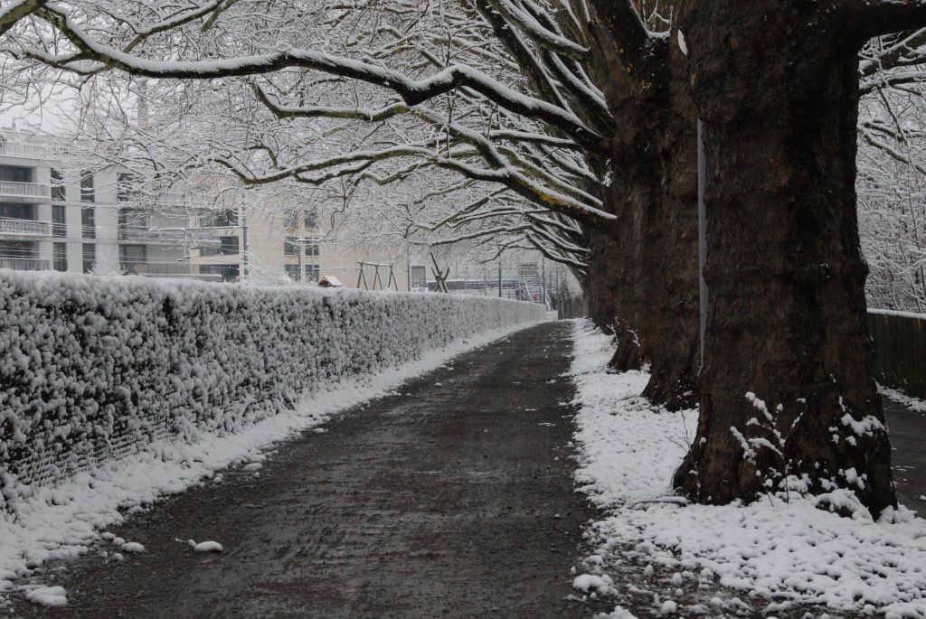 Snow